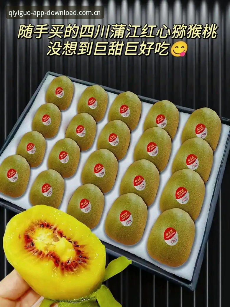 奇异果体育好用吗？从下载到实战的5个关键步骤全解析